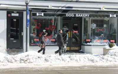Snow Challenge for Main Street Shops
