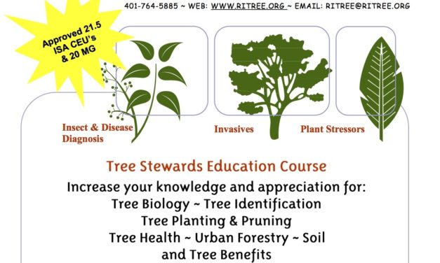 Tree Steward Course Coming to EG