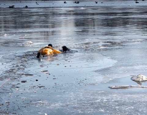 Fire Dept. Rescues Puppy After Fall Through Cove Ice