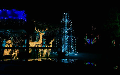 Zoo Holiday Light Show Is Spectacular