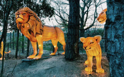 Animal-Shaped Lanterns Light Up Zoo