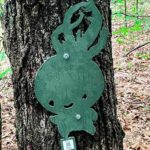 Find EG’s ‘Trail Critter’ On a Land Trust Trail Somewhere!