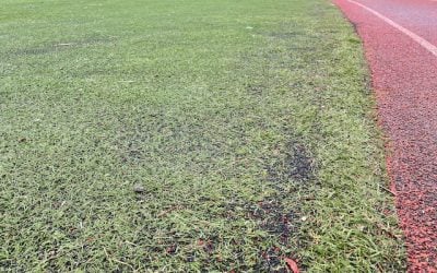 Turf Field Could Be Replaced This Summer