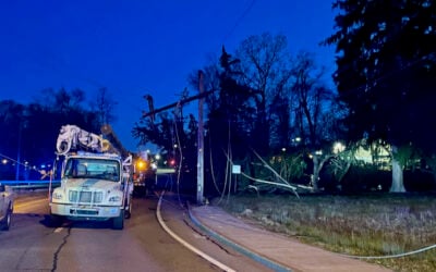 Downed Tree At NK-EG Line Cuts Power to 1,400