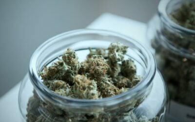 Voters Will Have Say on Local Pot Shops 