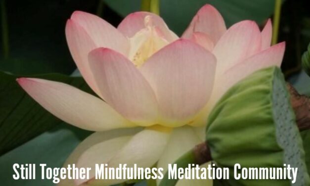 Still Together Mindfulness Meditation Community