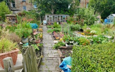 A Community Garden Abroad