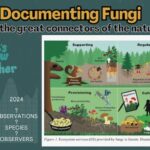 Plants…and Animals…and FUNGI!